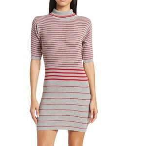 Berry Turtleneck Grey Thin Stripe Dress